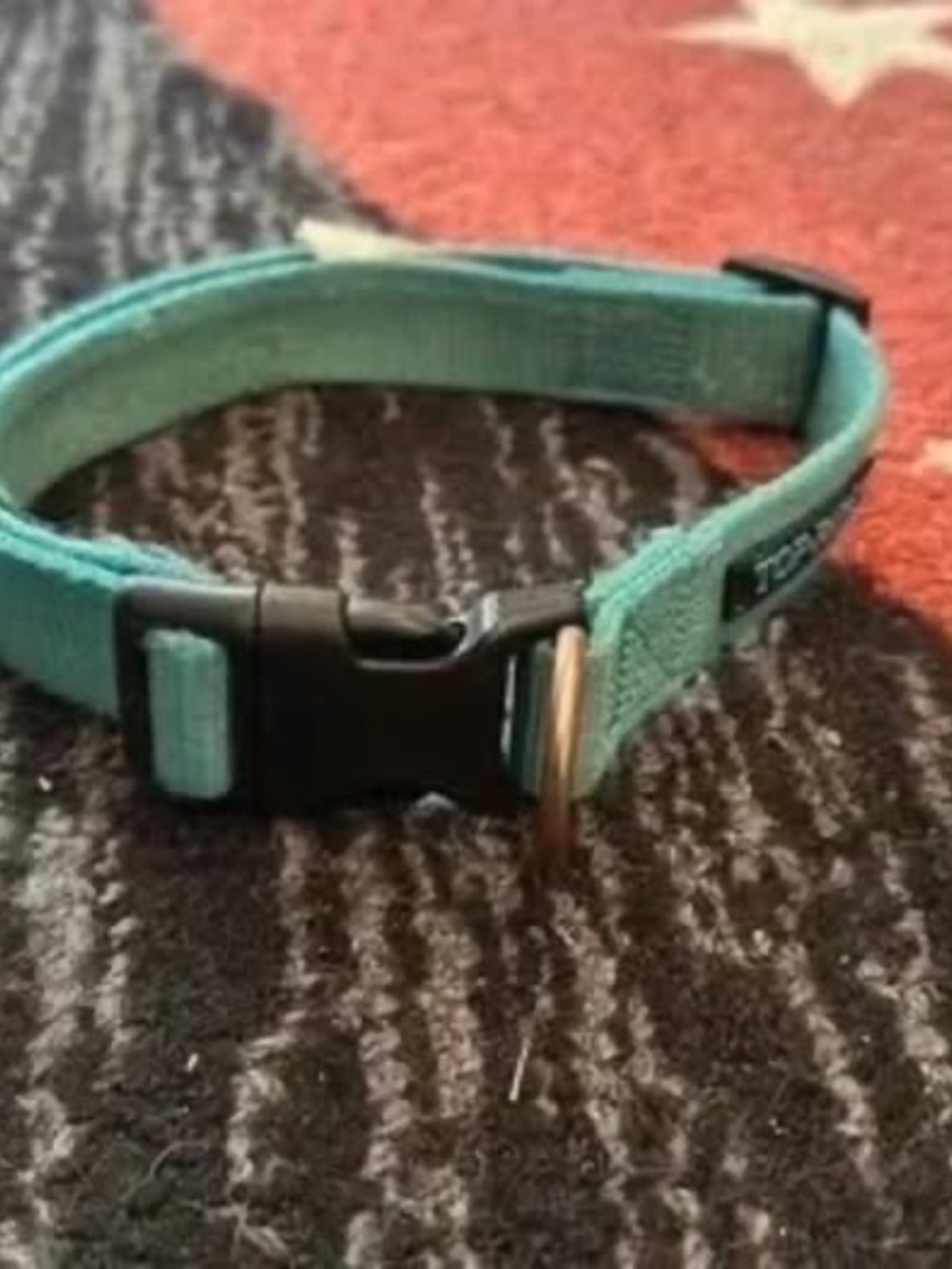 Medium blue dog collar
